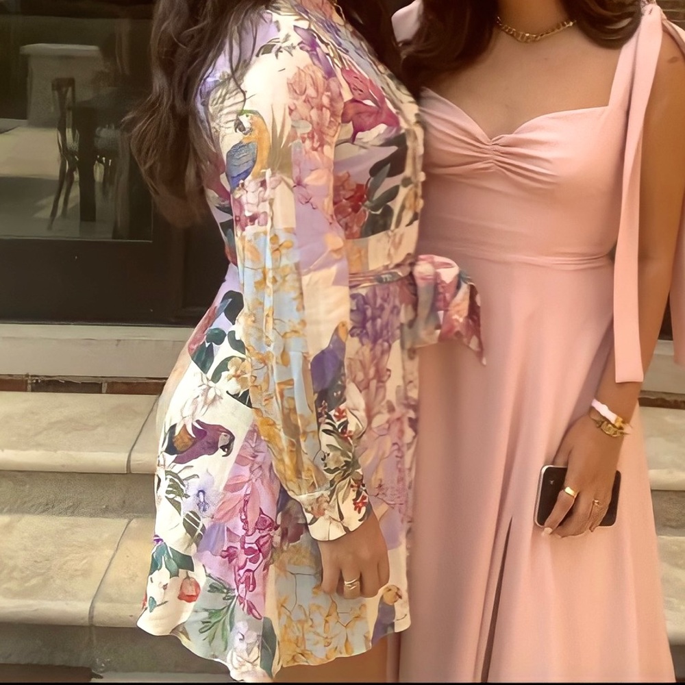 Zara Floral Long Sleeve Dress - Multicolor